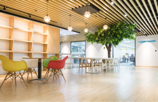 Work Environment & Team Building