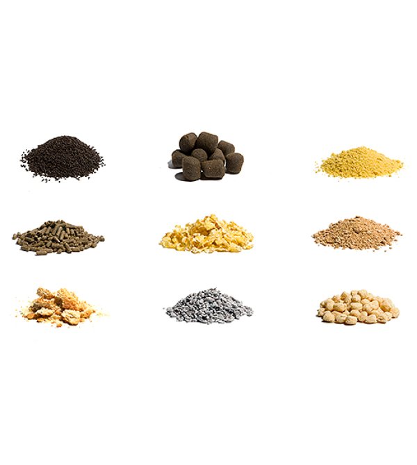 hplus_饲料、油脂1